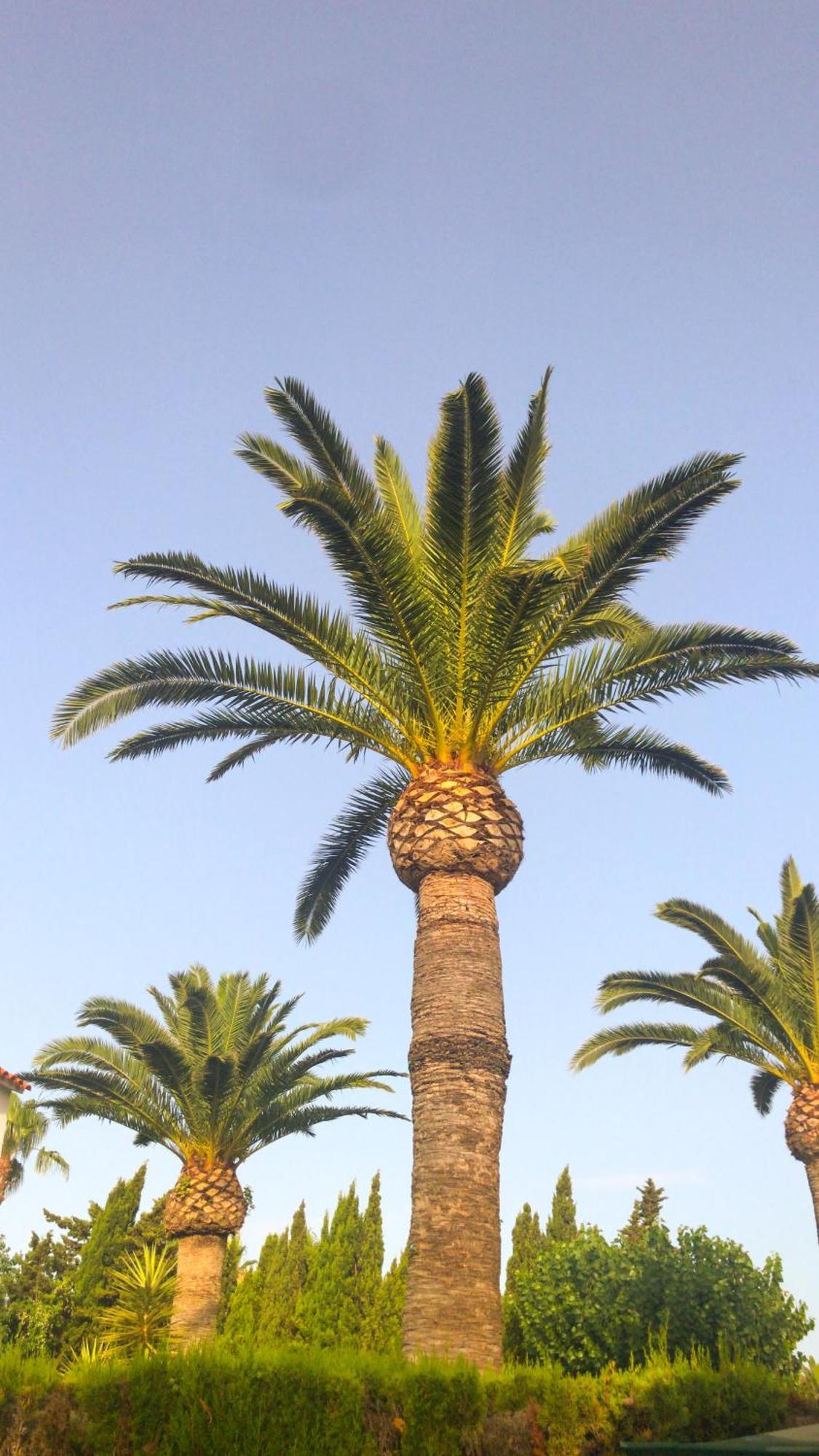 Вилла Denia El Palmar 183 Экстерьер фото
